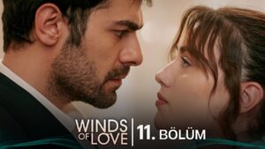 Read more about the article Rüzgarlı Tepe Episode 11  With English Subtitles